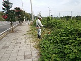 愛ロード運動